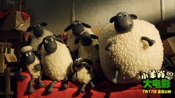 小羊爆料视频下载安装,轻松获取热门内容  第1张